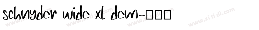 schnyder wide xl dem字体转换